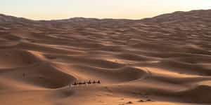 Saudi Arabia